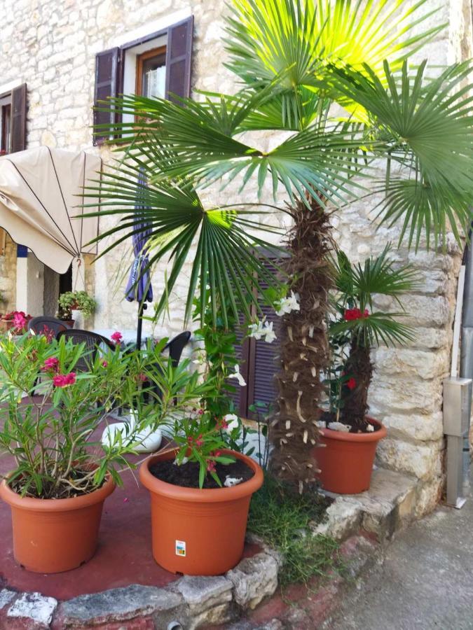 Višnjan Maja Apartment מראה חיצוני תמונה